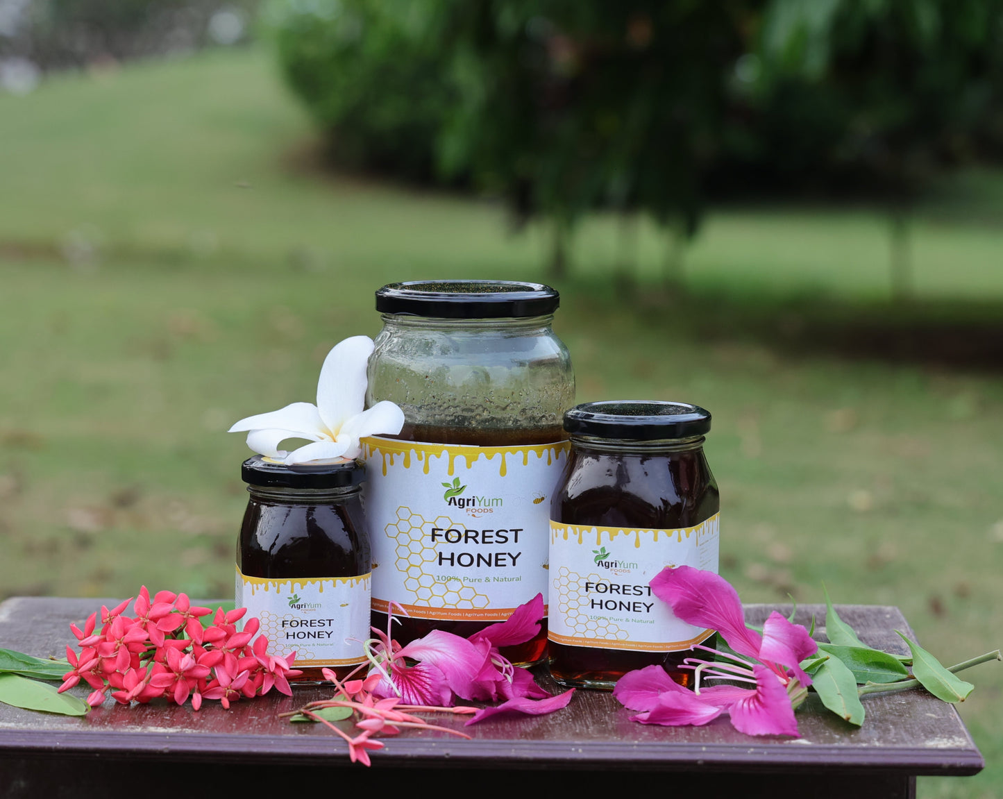 Natural Forest Honey