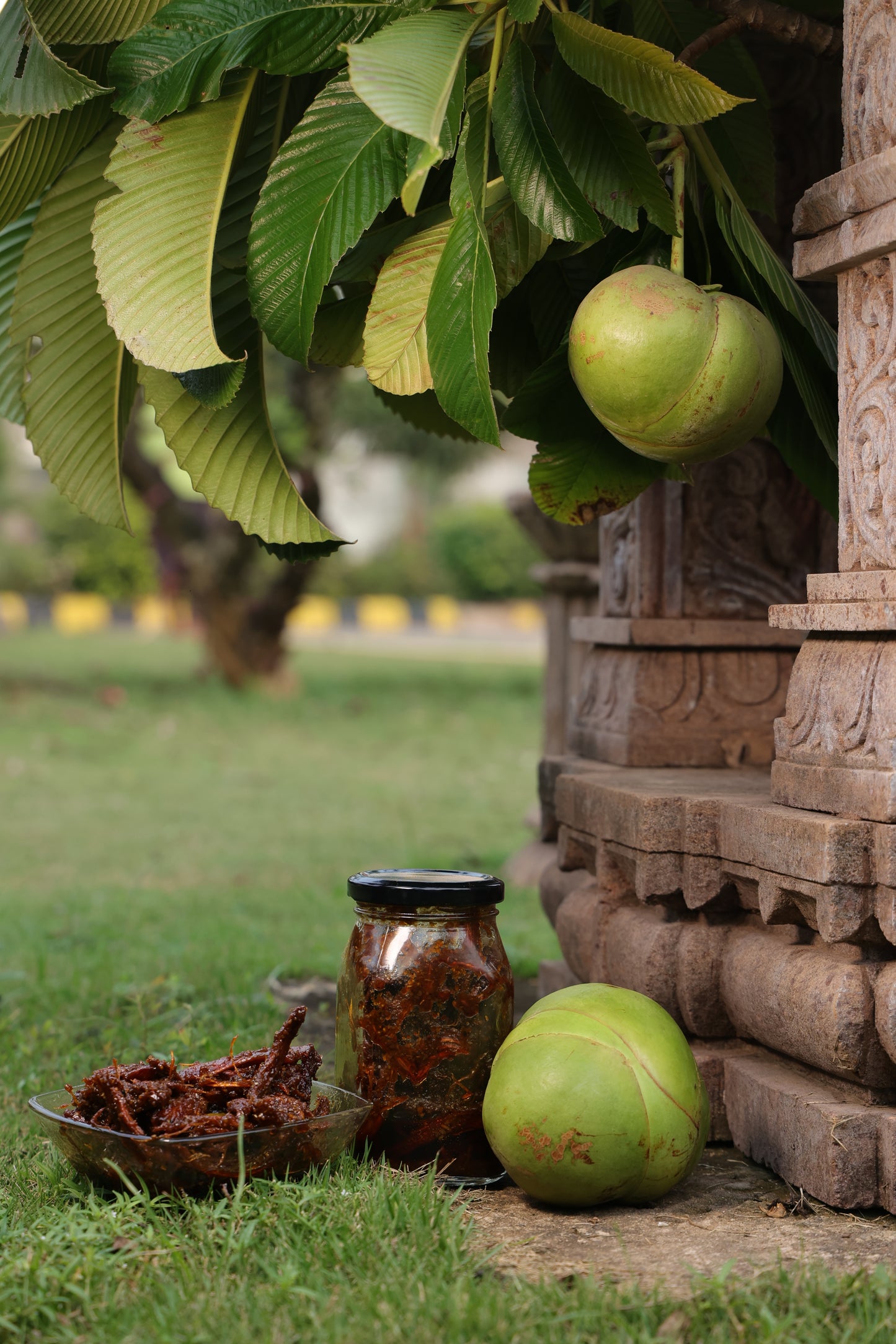 Elephant Apple Pickle