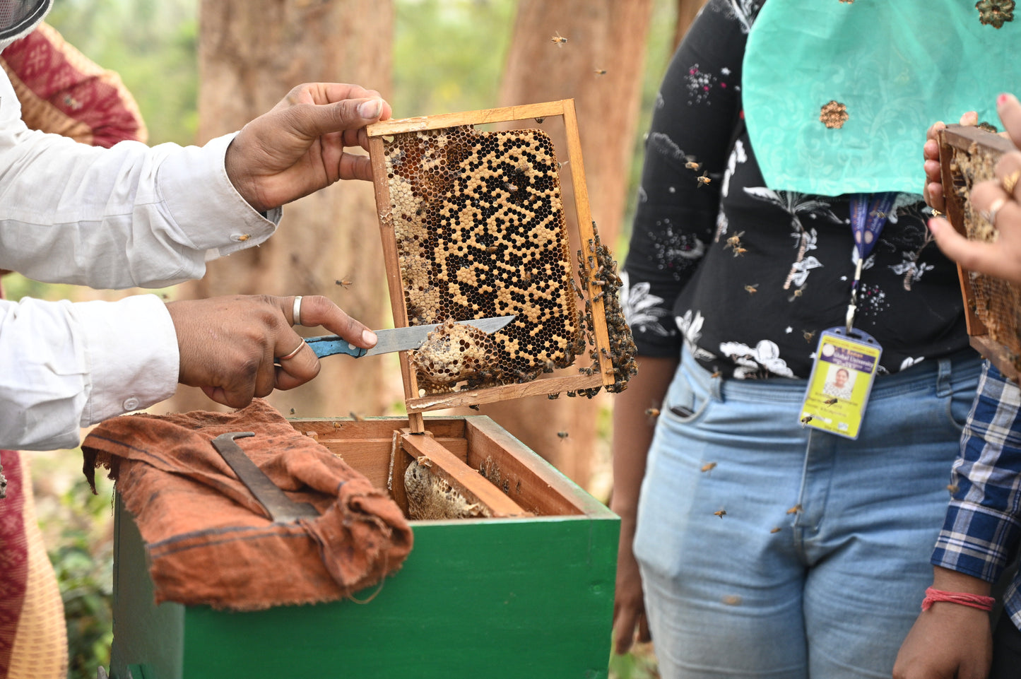 Natural Forest Honey
