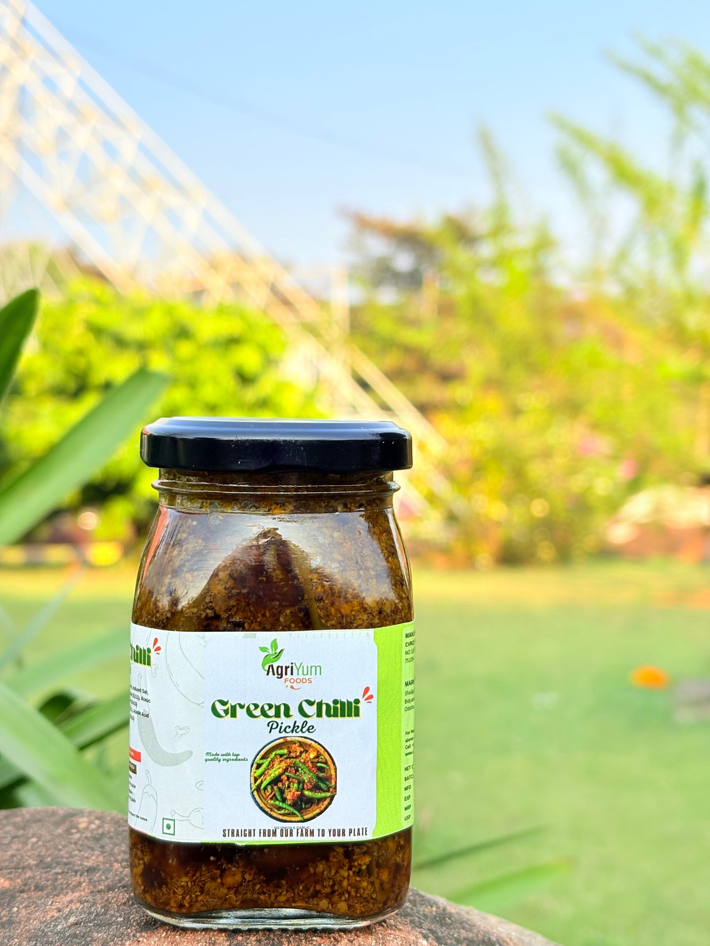 Green Chilli Pickle